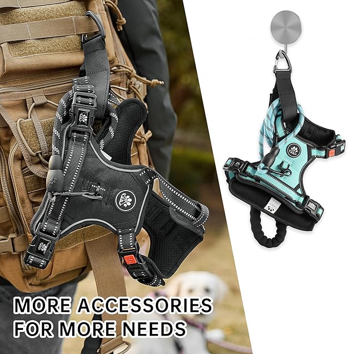 NESTROAD No Pull Dog Harness,Adjustable Oxford Dog Vest Harness with Leash,Reflective No-Choke Pet Harness with Easy Control Soft Handle for Large Dogs(X-Large,Turquoise)