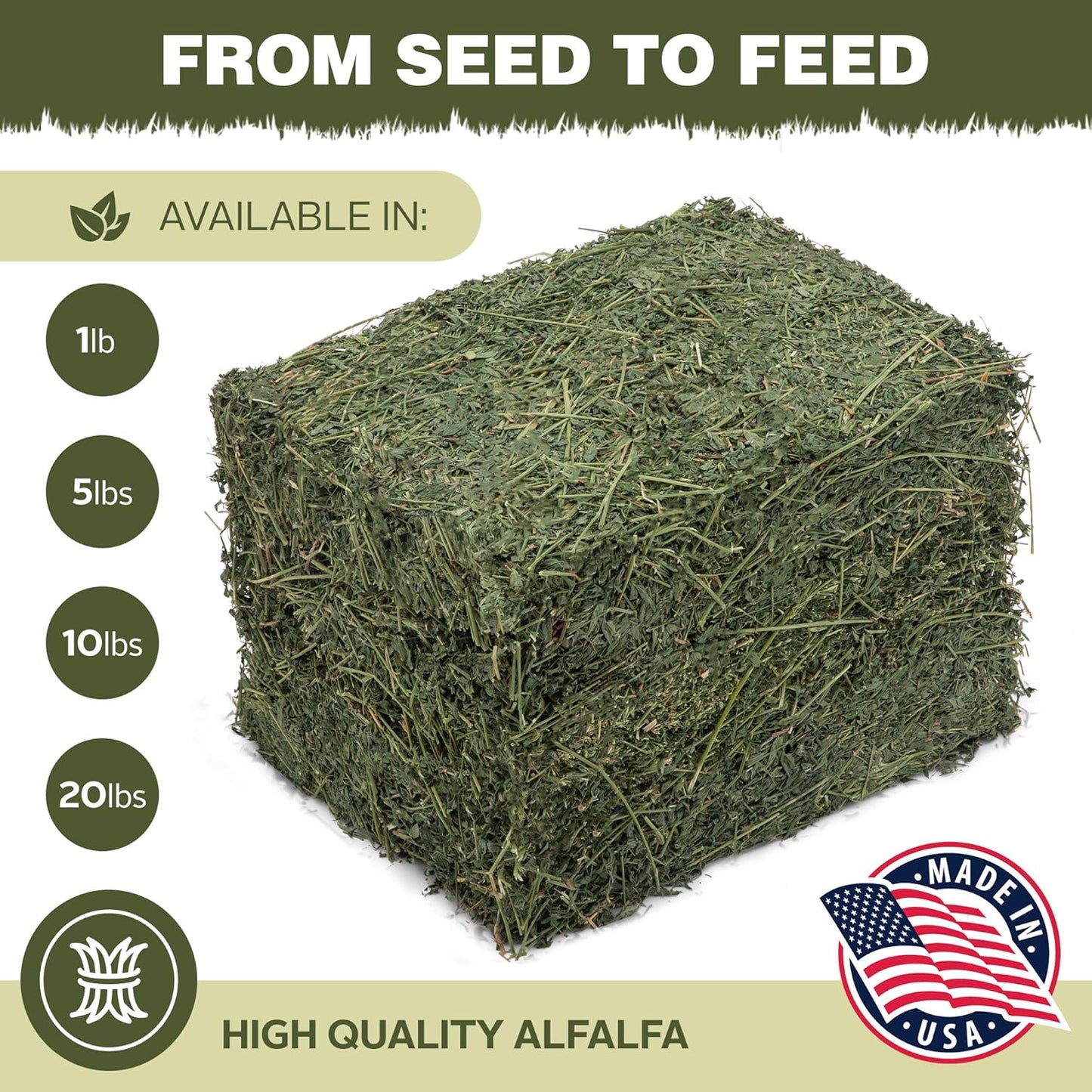High Desert Alfalfa Hay for Rabbits, Guinea Pigs, Chinchillas & Small Pets – Protein-Rich Natural Hay for Young, Growing Animals – High-Fiber, Hand-Packed, Additive-Free, Grown in USA – 10 lb Box
